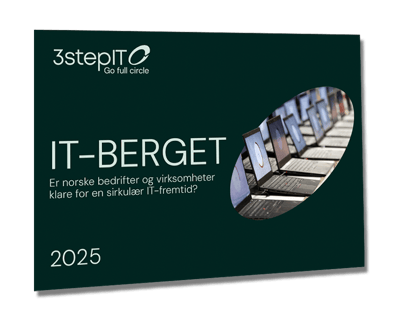IT-berget-vridd_3